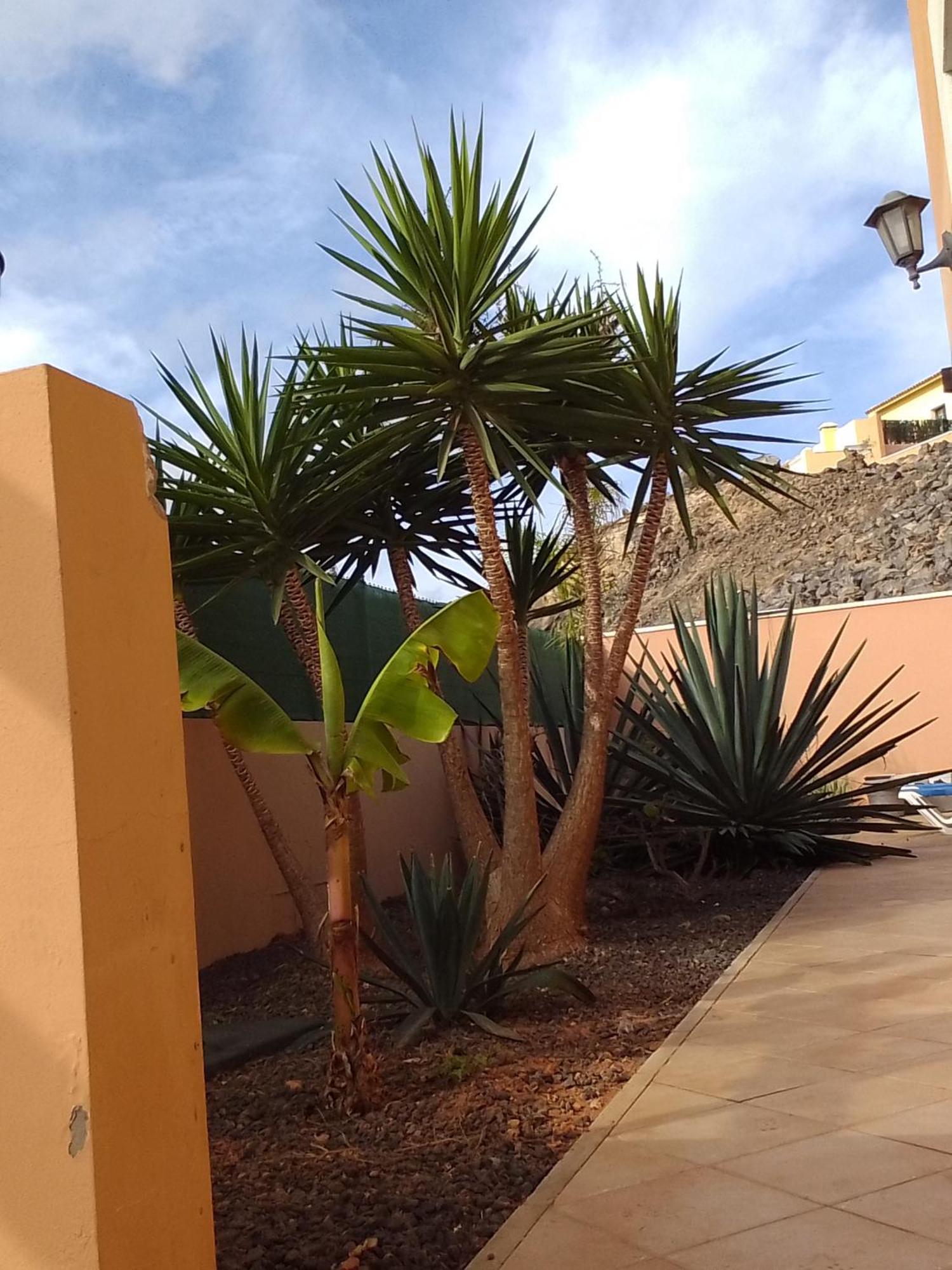 Hostel A Casa Di Ilaria Corralejo Exterior foto
